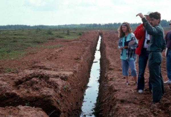 Students looking at water in a trench