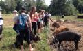 Petting farm animals