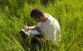 Note taking in tall grass